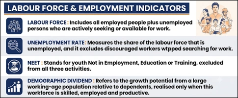 Labour Force & Employment Indicators
(Youth Employment Crisis: Beyond India’s Jobless Rate)