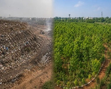 Miyawaki Forest and Urban Waste Management
