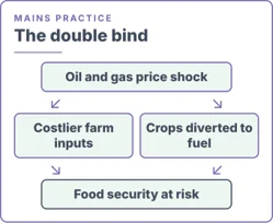 The Double Blind
(Indian Agriculture Energy Security: Policy Reforms)